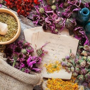 Kitchen Healing Herbs Witch Quiz 300x300