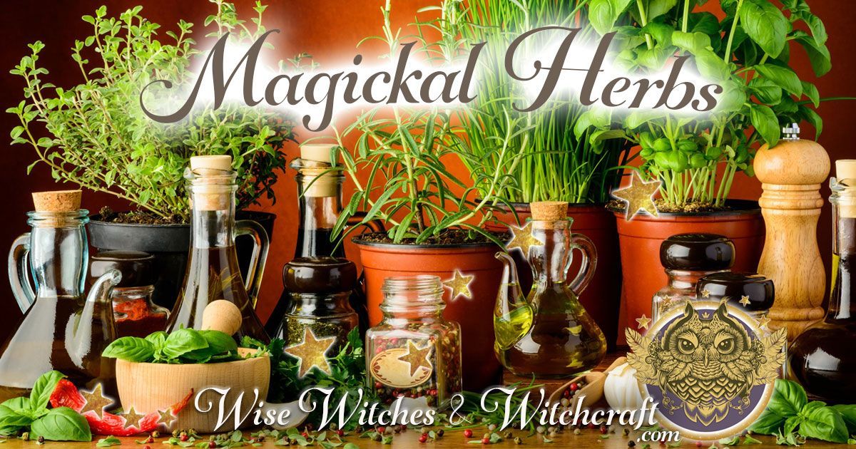 Magickal Herbs 1200x630