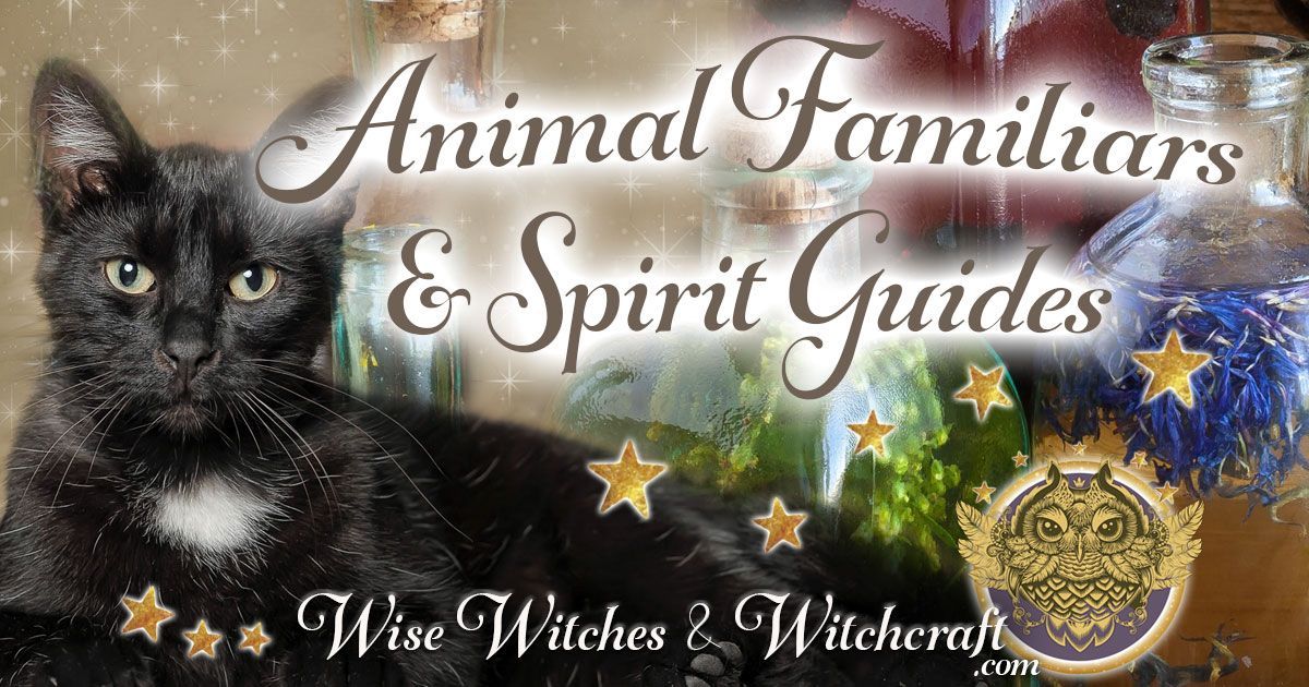 Spirit Animal & Familiars Spirit Animal Meanings for the