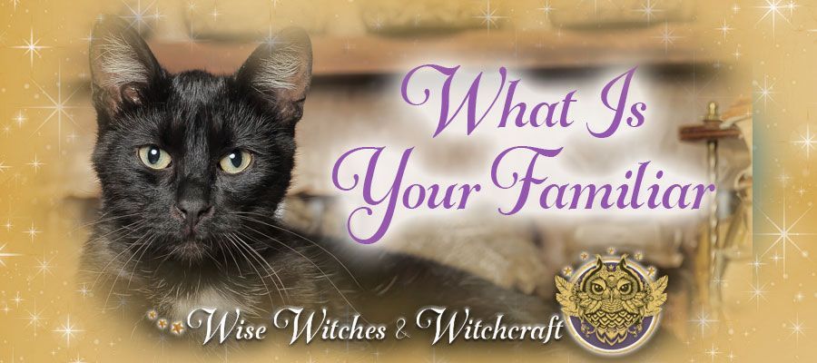 What is Your Familiar - Witch Quiz 900x400