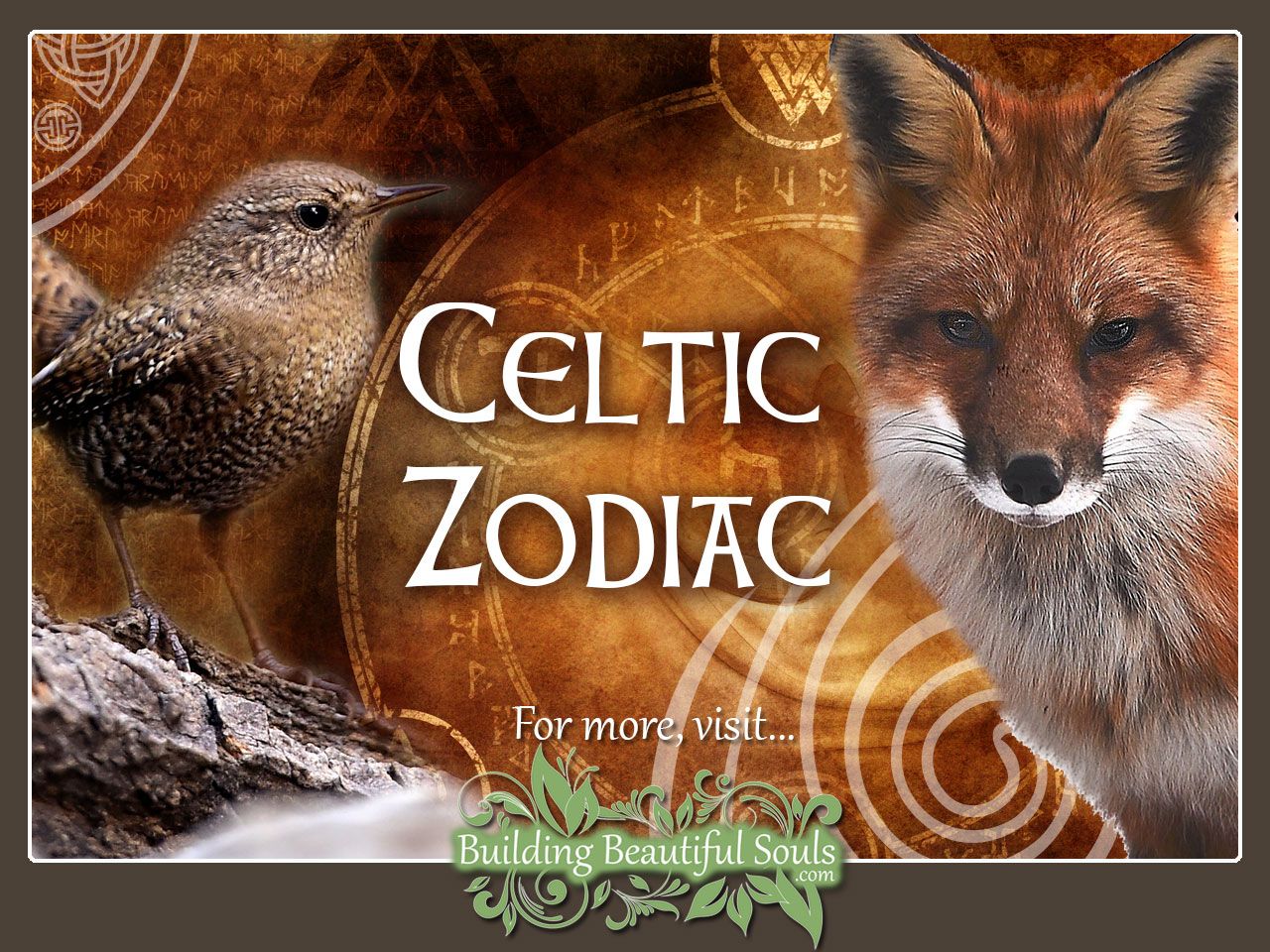Celtic Zodiac Animal Meanings & Symbolism 1280x960