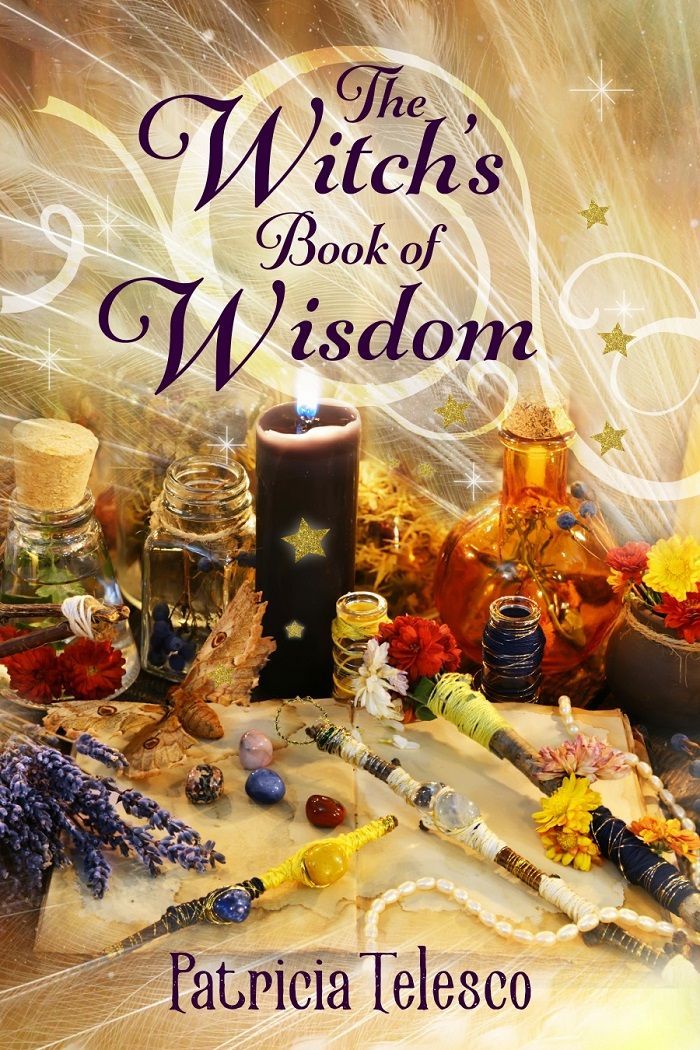 The Witch's Book of Wisdom Wiccan Books 700x1050