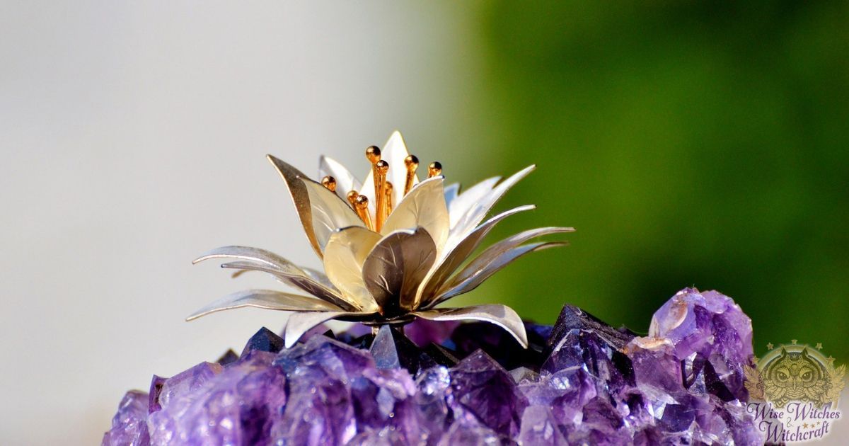 elemental crystals for companion planting 1200x630