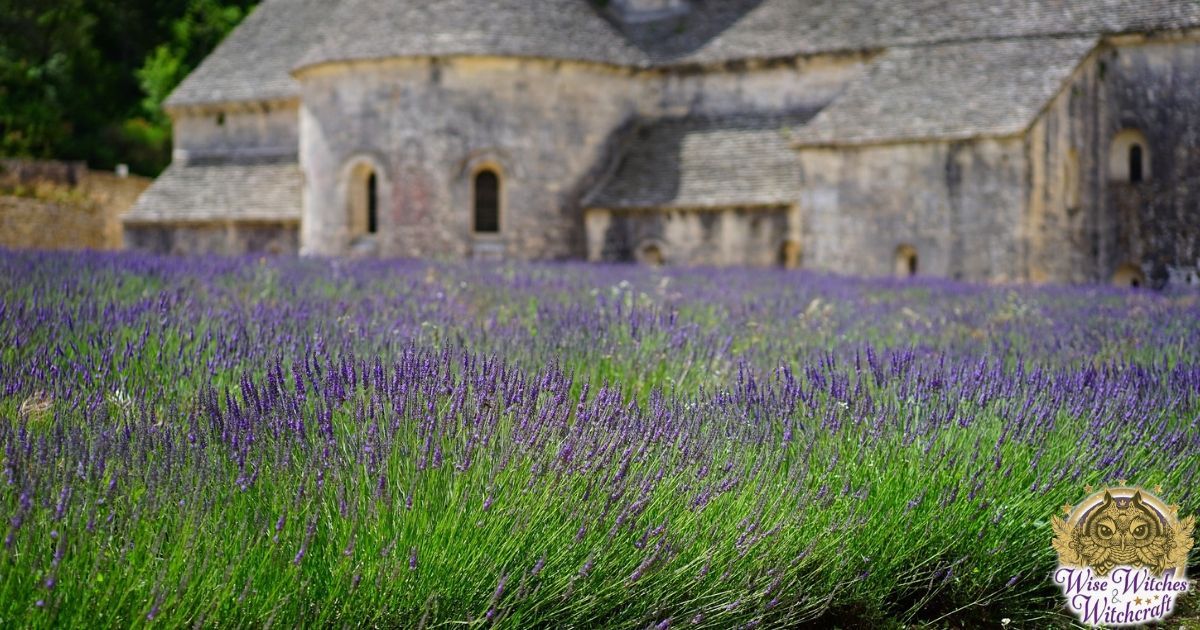 plants sacred to goddesses for a magical garden 1200x630