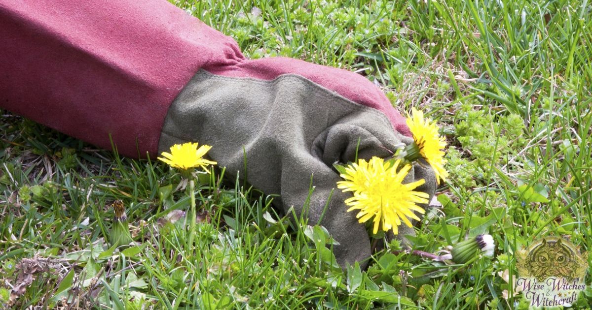 weed deterrents for magical gardening 1200x630