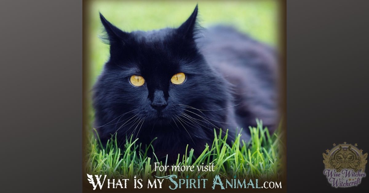 The Healing Medicine of Spirit Animals, Guides, & Totems - Wise Witches and  Witchcraft