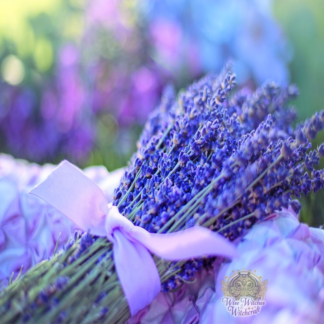 Wholesale Lavender  Witchcraft Herbs Bulk/Wholesale - Infinite Soul -  Fieldfolio