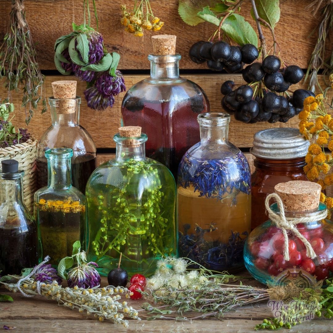 Making Magical Flower Potions - Wise Witches and Witchcraft