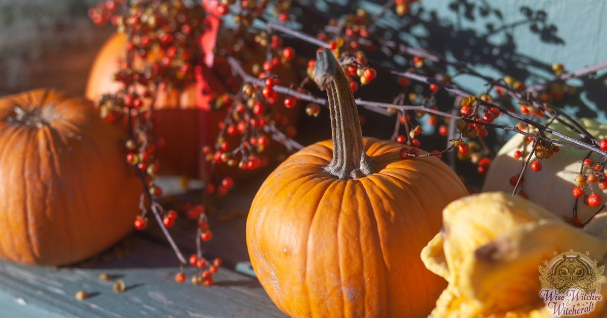 Samhain and Halloween Herbs and Plants