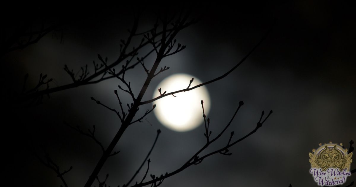 witch trials bideford england 1200x630