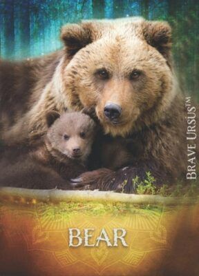 Bear Spirit Animal Altar & Prayer Card - Wise Witches and Witchcraft