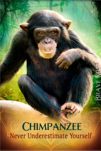Chimpanzee Magnet