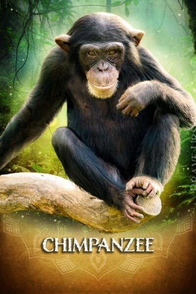 Chimpanzee Spirit Animal Altar & Prayer Card