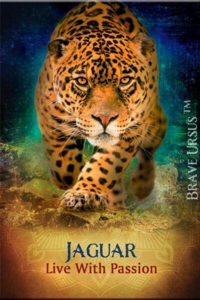 Jaguar Magnet