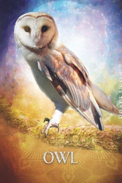Owl Spirit Animal Altar & Prayer Card