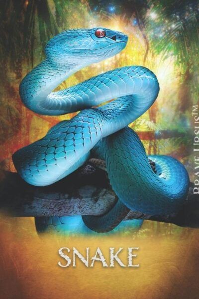 Snake Spirit Animal Altar & Prayer Card